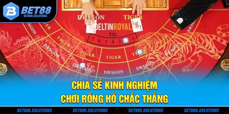 Chia sẻ kinh nghiệm chơi rồng hổ chắc thắng