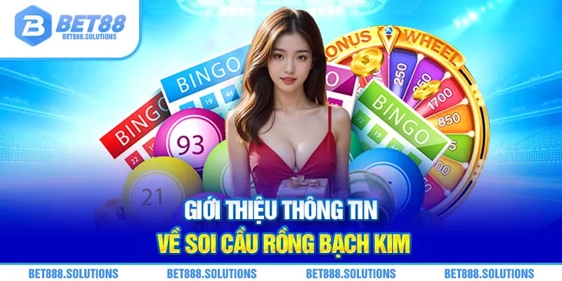 Giới thiệu thông tin về soi cầu Rồng Bạch Kim