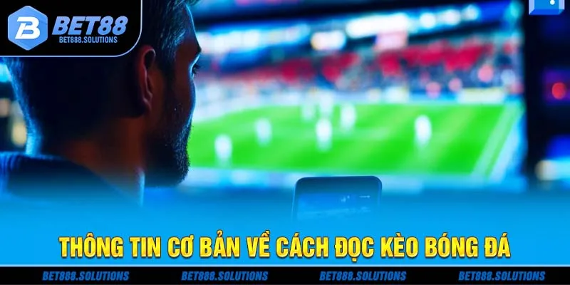 Thông tin cơ bản về cách đọc kèo bóng đá